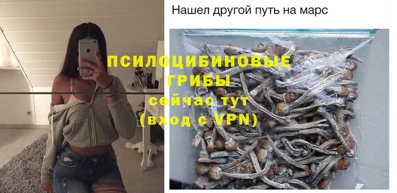 OMG рабочий сайт  где можно купить наркотик  Лангепас  Псилоцибиновые грибы MAGIC MUSHROOMS 